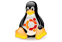 Decoration: picture of Ubuntu logo